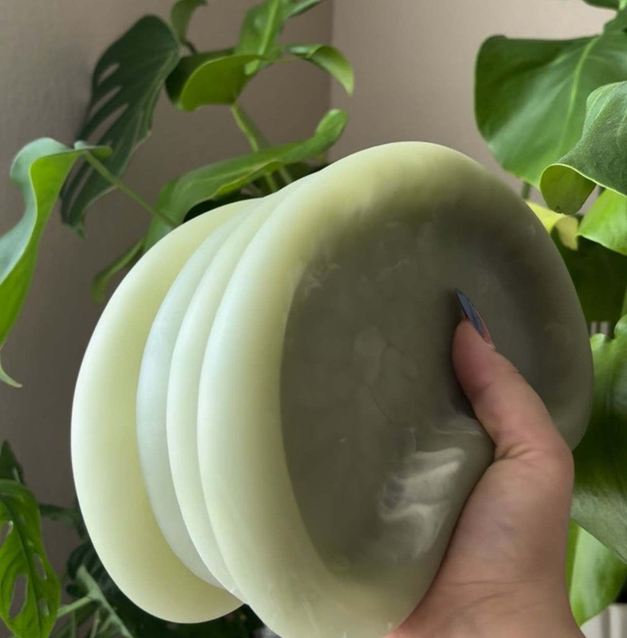 The Waning Dish