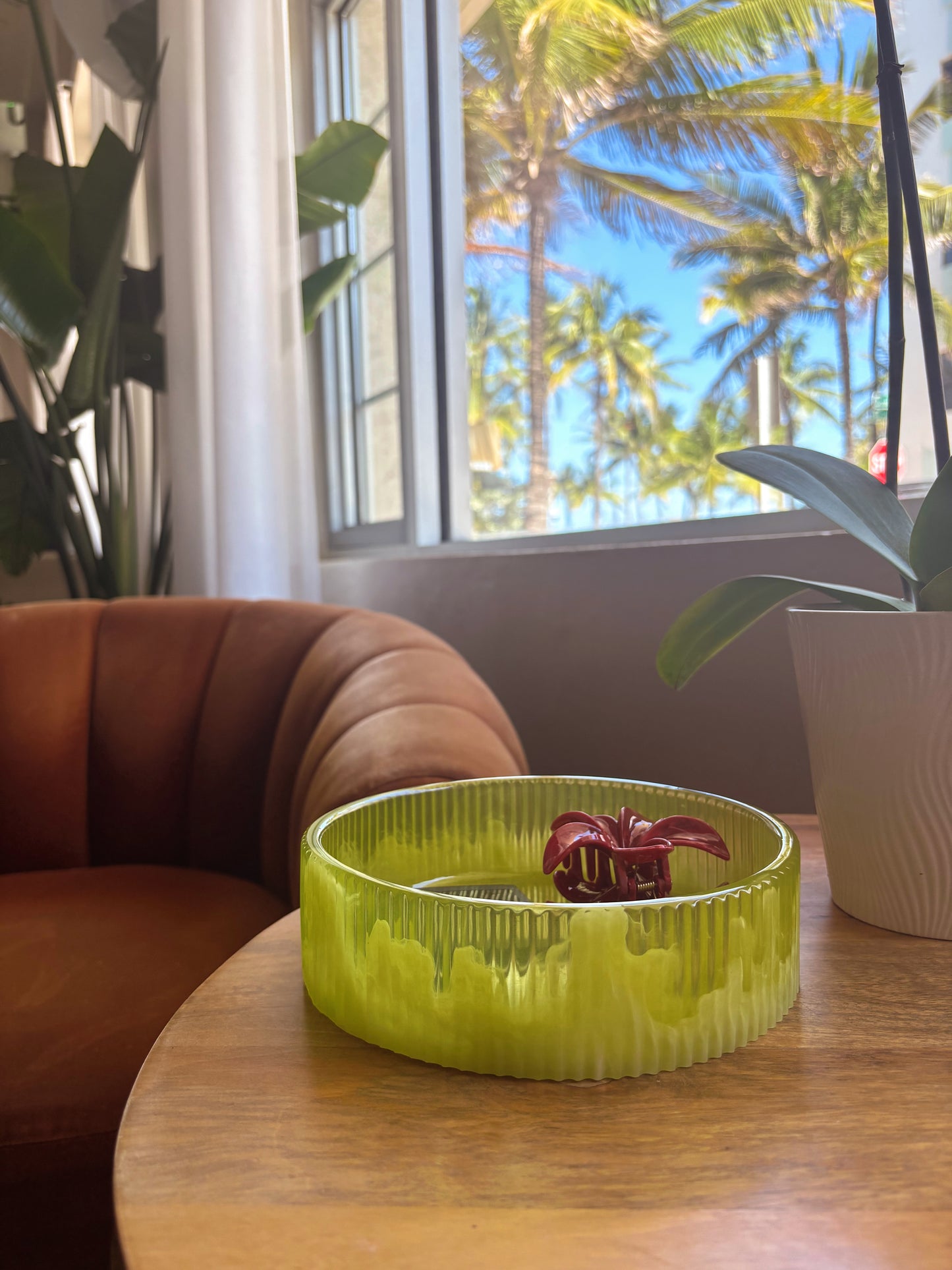 The Daze Bowl