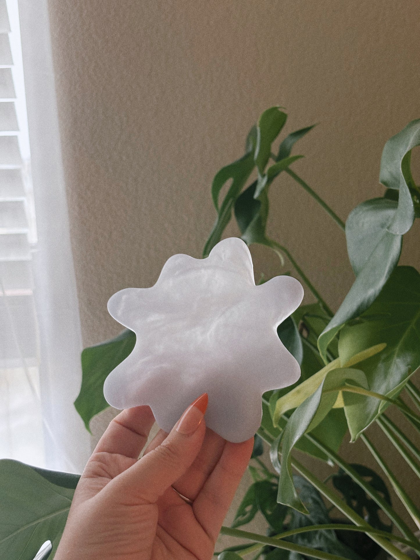 The Spill Coasters