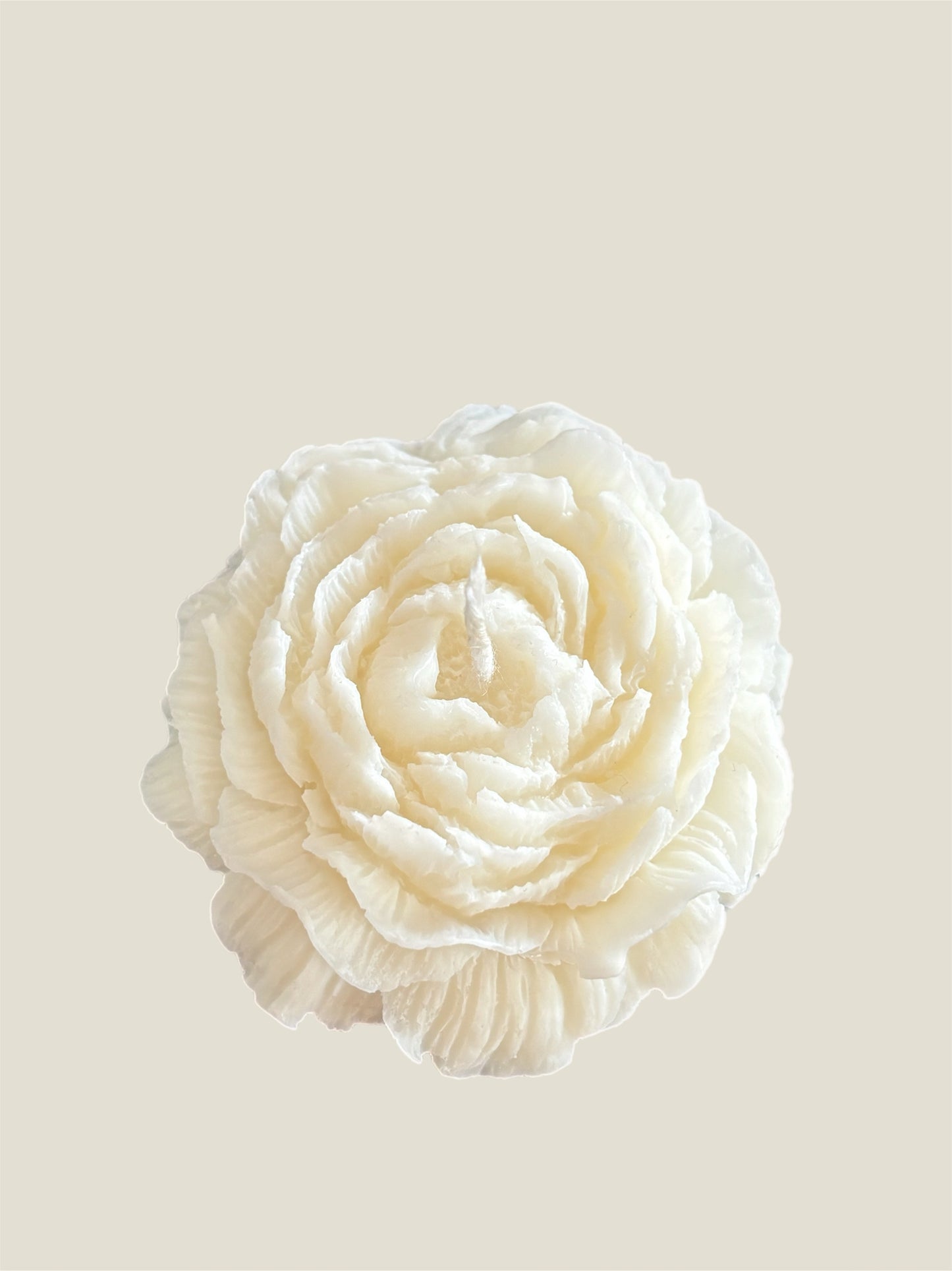 Penelope Peony