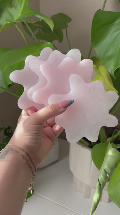 The Spill Coasters